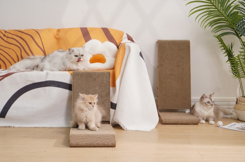 09e9040a276154328bc4fdb21c91fd51_1722878203_0938.jpg 09e9040a276154328bc4fdb21c91fd51_1722878203_0938.jpg