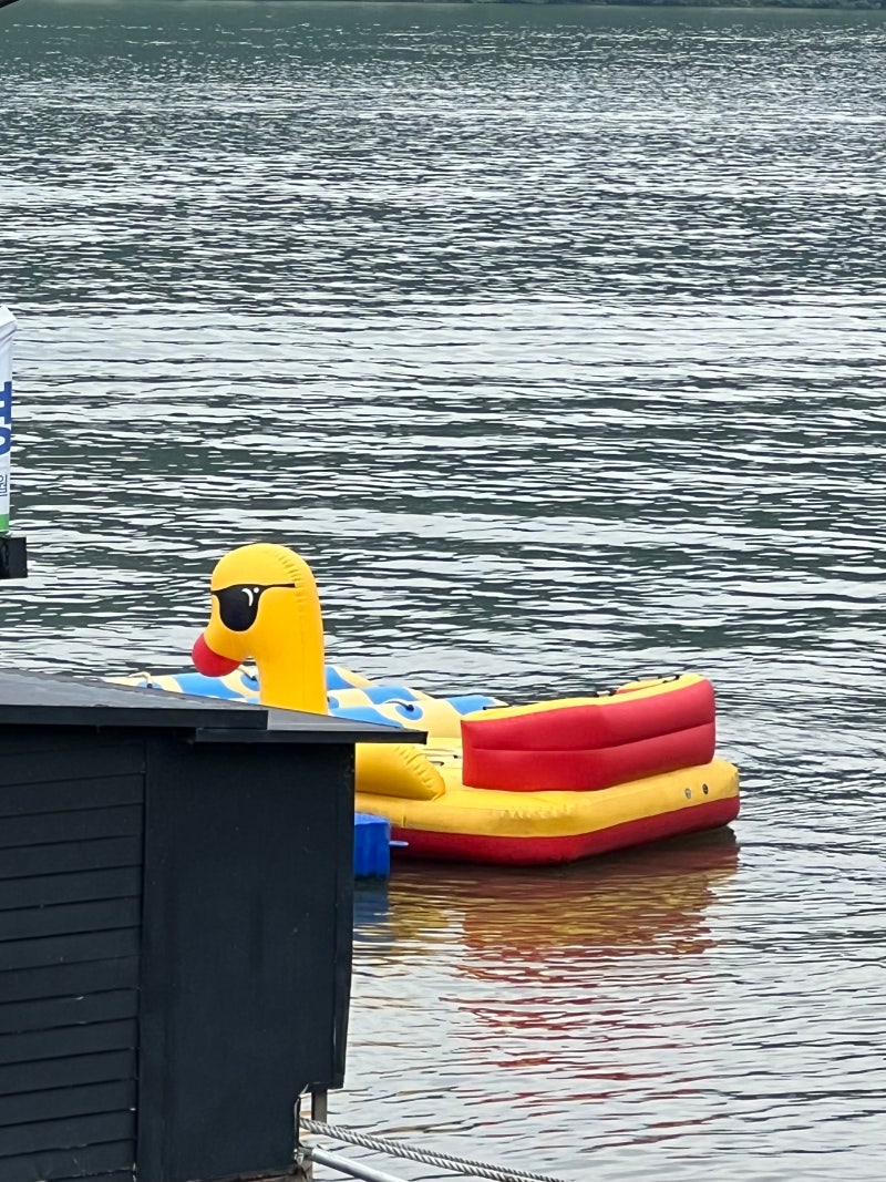 3e8d7efb8ce2b348c0825a8f045e07df_1722569986_586.jpg 3e8d7efb8ce2b348c0825a8f045e07df_1722569986_586.jpg