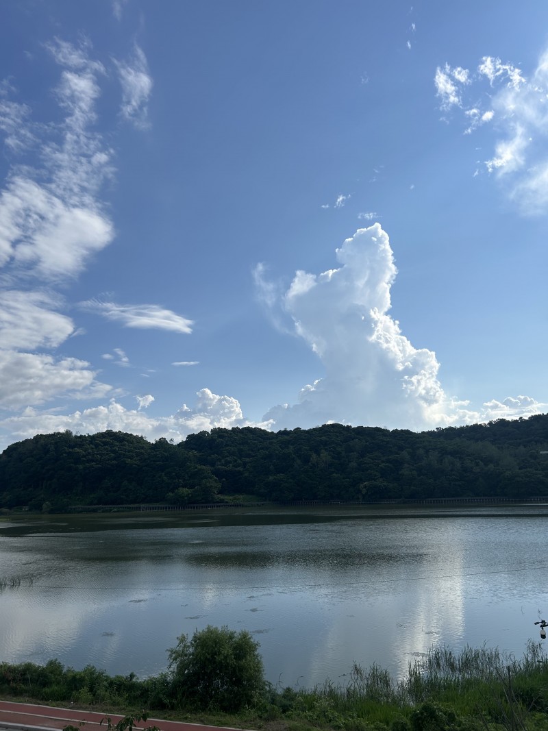 3e8d7efb8ce2b348c0825a8f045e07df_1722569987_013.jpg 3e8d7efb8ce2b348c0825a8f045e07df_1722569987_013.jpg