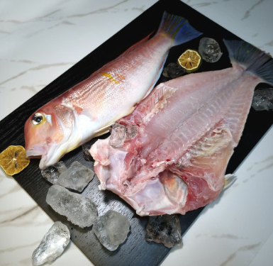 4bc2f58fbe52be7c5c52e0abe9b8949a_1723100156_6689.png 4bc2f58fbe52be7c5c52e0abe9b8949a_1723100156_6689.png