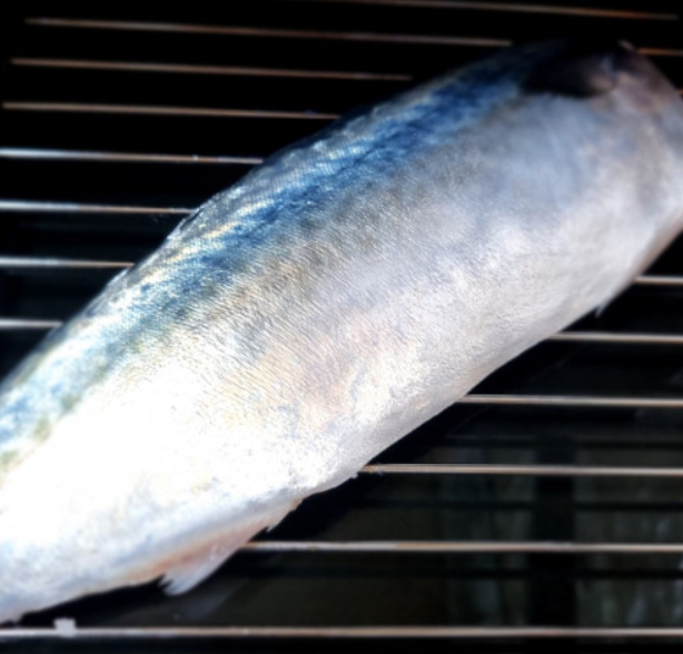 4bc2f58fbe52be7c5c52e0abe9b8949a_1723100230_8521.png 4bc2f58fbe52be7c5c52e0abe9b8949a_1723100230_8521.png