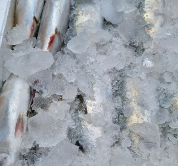 4bc2f58fbe52be7c5c52e0abe9b8949a_1723100231_0522.png 4bc2f58fbe52be7c5c52e0abe9b8949a_1723100231_0522.png