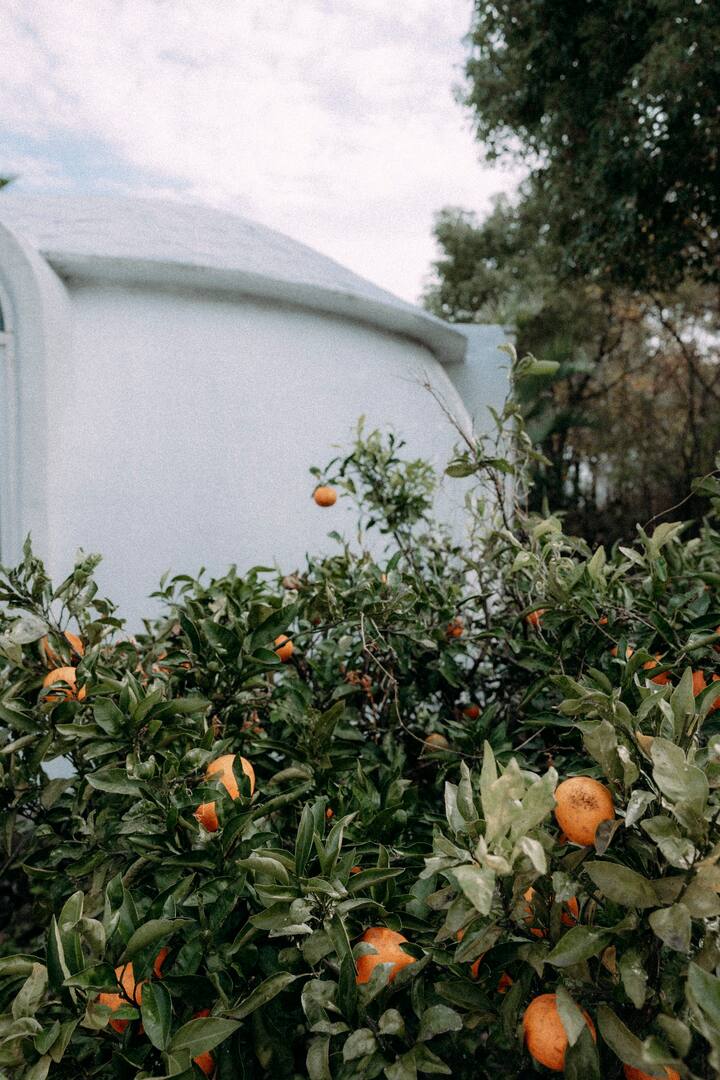 4c9eff35f8bba78fa9a478b98d8a0a0b_1724889437_6458.jpg 4c9eff35f8bba78fa9a478b98d8a0a0b_1724889437_6458.jpg