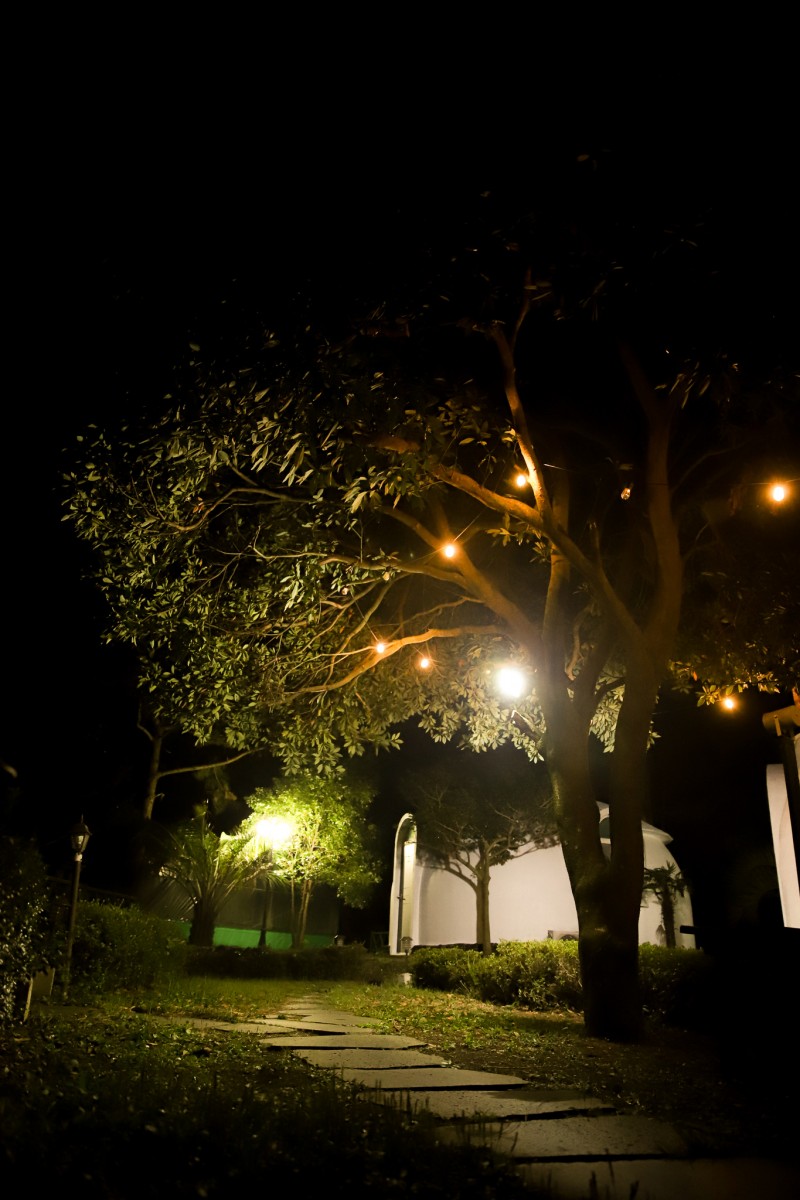 4c9eff35f8bba78fa9a478b98d8a0a0b_1724889456_9873.jpg 4c9eff35f8bba78fa9a478b98d8a0a0b_1724889456_9873.jpg