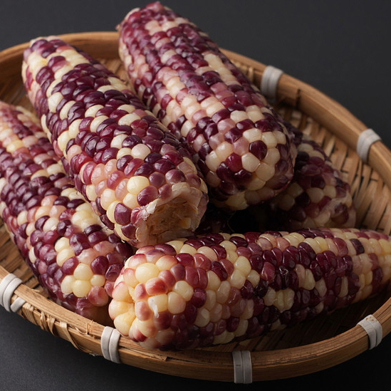 ca18f79fe9ff2112a7df2f51639ffca6_1722933080_8184.jpg ca18f79fe9ff2112a7df2f51639ffca6_1722933080_8184.jpg