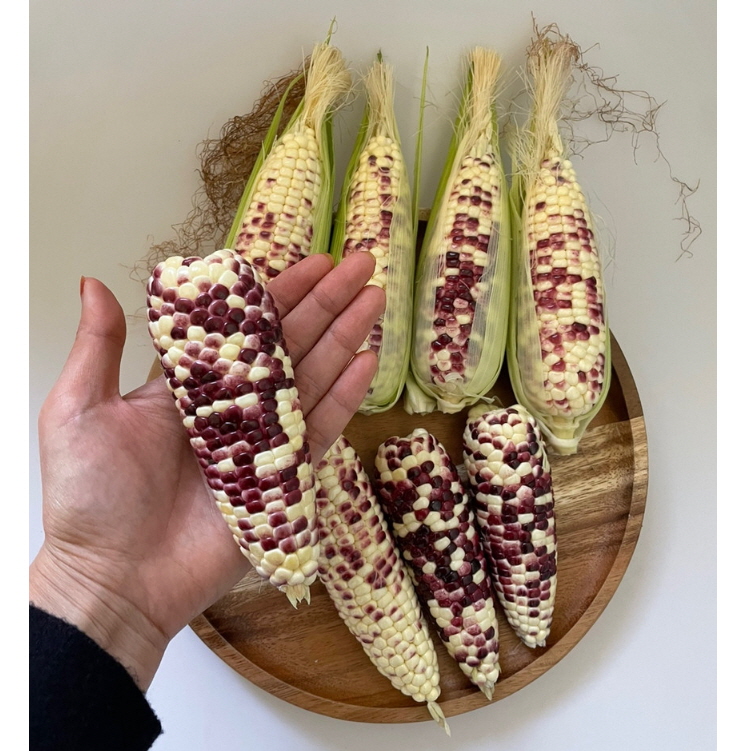 ca18f79fe9ff2112a7df2f51639ffca6_1722933080_8964.jpg ca18f79fe9ff2112a7df2f51639ffca6_1722933080_8964.jpg