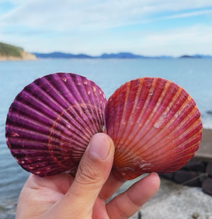 2d22314cf7c19ff007f1ce10375c9ea8_1727182637_0637.png 2d22314cf7c19ff007f1ce10375c9ea8_1727182637_0637.png