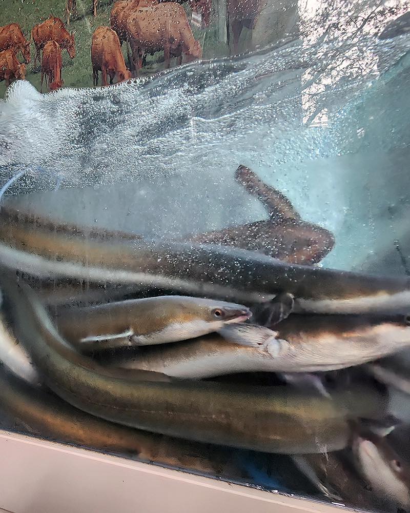 9c02a8979e8f37043afacfb8f1dd0053_1725858759_301.jpg 9c02a8979e8f37043afacfb8f1dd0053_1725858759_301.jpg