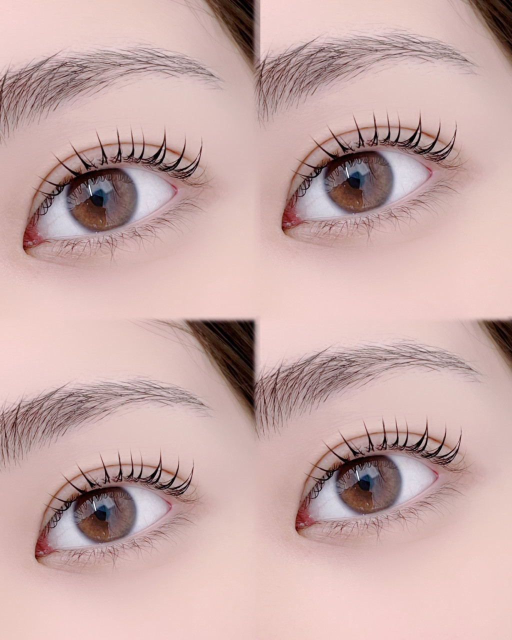 b2e2836ddeb4d044469309fb5510642a_1726032701_7013.jpg b2e2836ddeb4d044469309fb5510642a_1726032701_7013.jpg