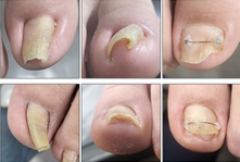 da41e0b4cd0a8786ca2a5e7de7f64707_1725413377_5876.png da41e0b4cd0a8786ca2a5e7de7f64707_1725413377_5876.png