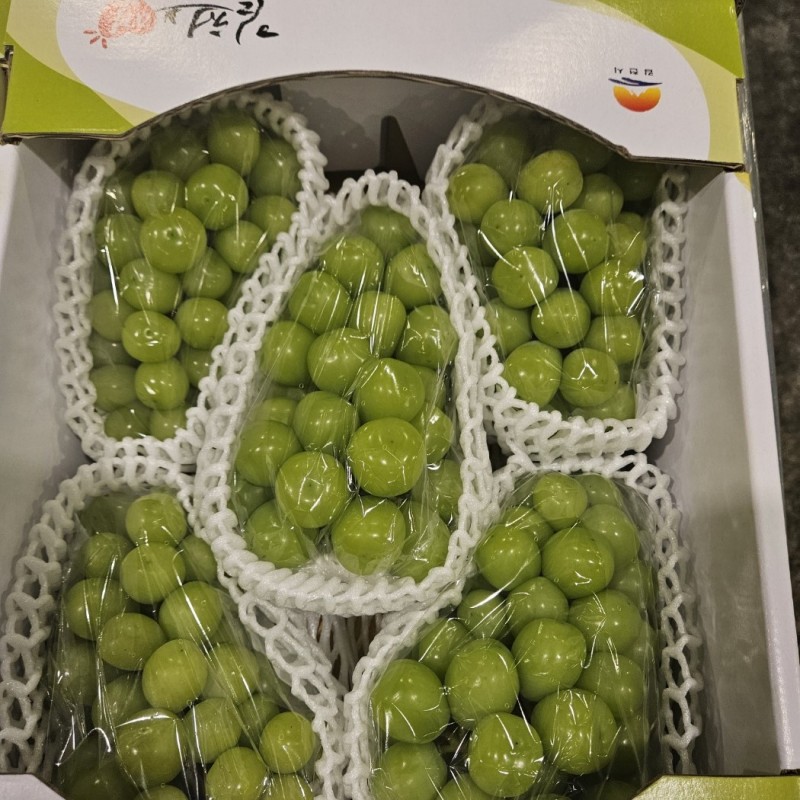 f6559bc864738ea3e586a5b276854d32_1725413677_2167.jpg f6559bc864738ea3e586a5b276854d32_1725413677_2167.jpg