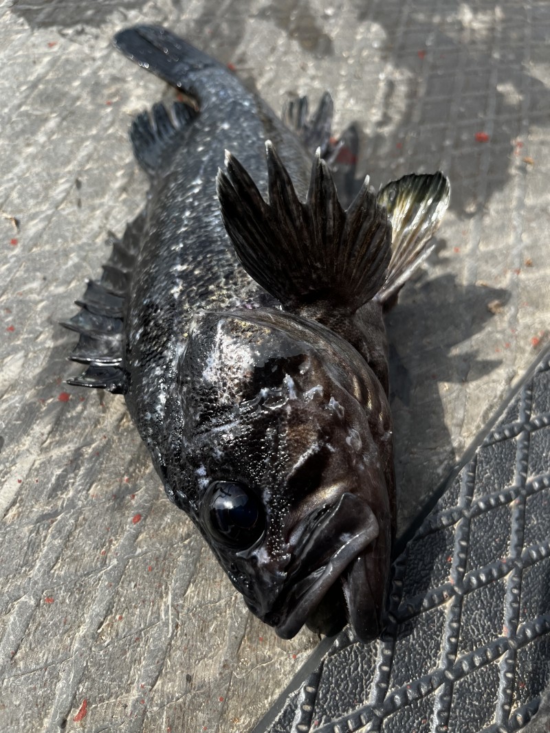 107d3d8ed553ff97fa975fe899ecafcd_1728871364_4943.jpg 107d3d8ed553ff97fa975fe899ecafcd_1728871364_4943.jpg