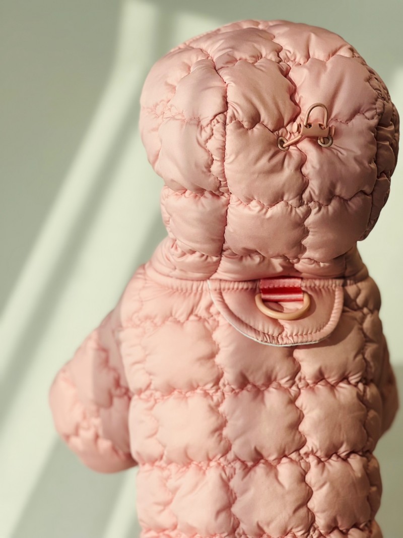 4f4c48c7c53238b51f7b608ffb6a1856_1731582732_192.jpg 4f4c48c7c53238b51f7b608ffb6a1856_1731582732_192.jpg