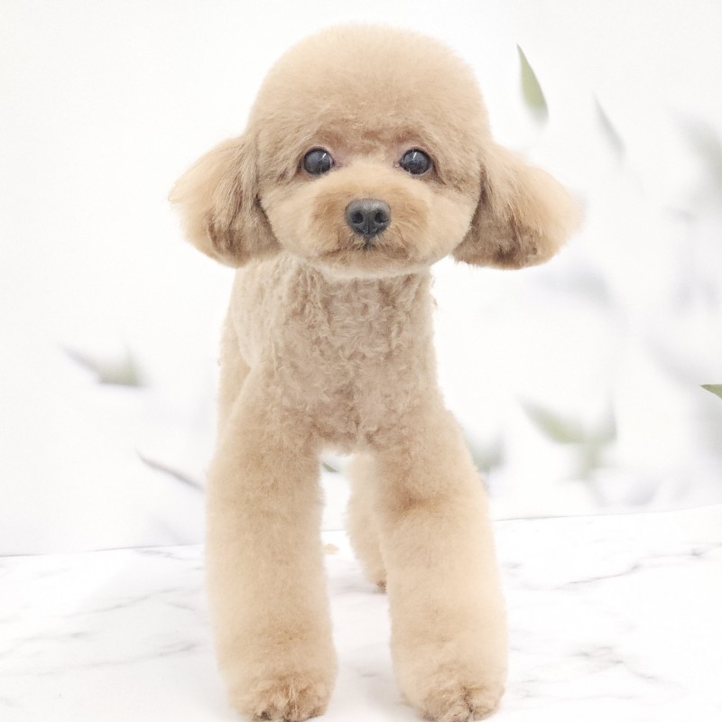 9f0c5ce6826dc6d0398b9b34b0db9d7e_1730954410_899.jpg 9f0c5ce6826dc6d0398b9b34b0db9d7e_1730954410_899.jpg