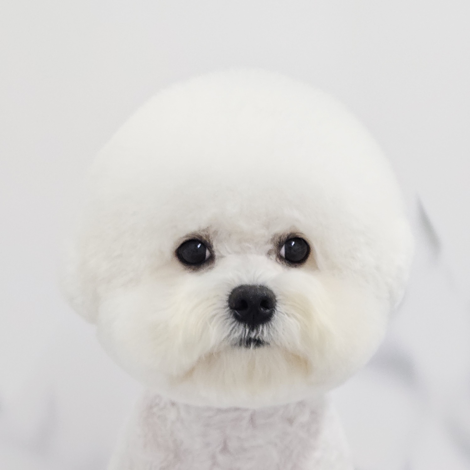 9f0c5ce6826dc6d0398b9b34b0db9d7e_1730954411_1892.jpg 9f0c5ce6826dc6d0398b9b34b0db9d7e_1730954411_1892.jpg