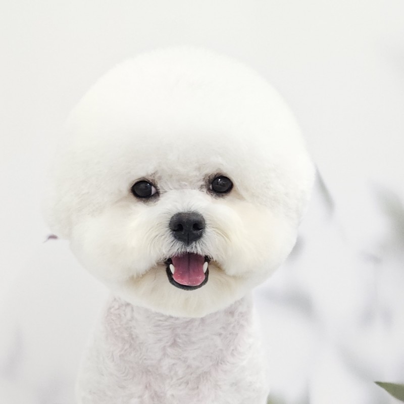 9f0c5ce6826dc6d0398b9b34b0db9d7e_1730954411_2844.jpg 9f0c5ce6826dc6d0398b9b34b0db9d7e_1730954411_2844.jpg