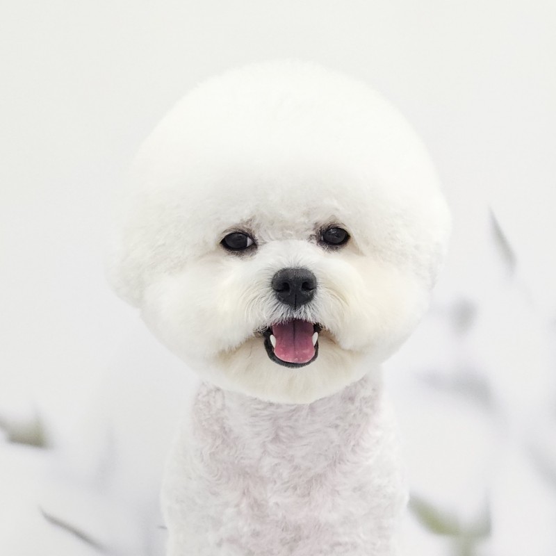 9f0c5ce6826dc6d0398b9b34b0db9d7e_1730954411_3661.jpg 9f0c5ce6826dc6d0398b9b34b0db9d7e_1730954411_3661.jpg