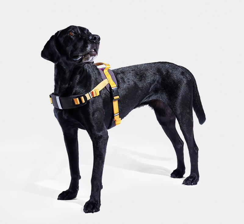 da22ef56168a4b5b2e870fdb2cd2f7cb_1730884427_0928.png da22ef56168a4b5b2e870fdb2cd2f7cb_1730884427_0928.png