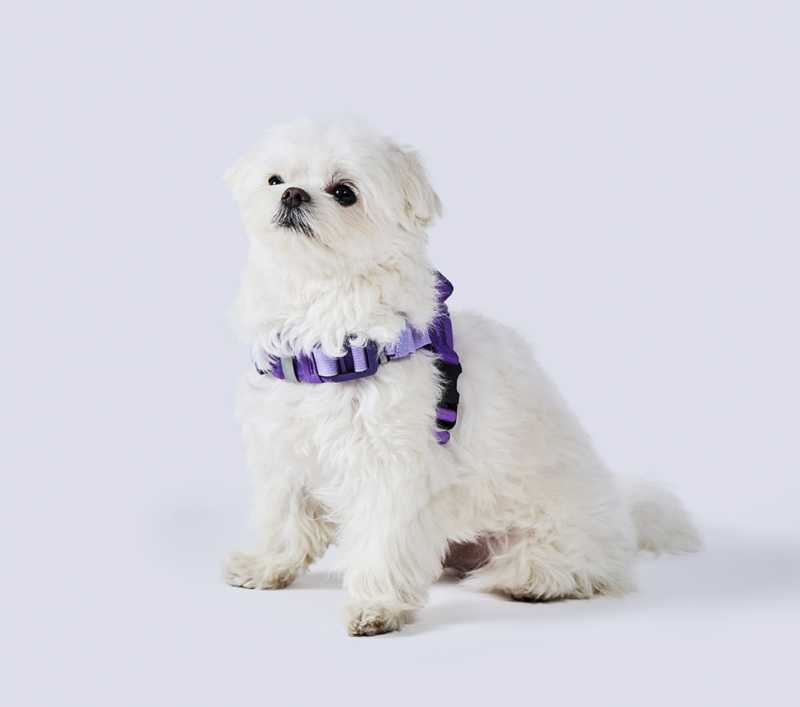 da22ef56168a4b5b2e870fdb2cd2f7cb_1730884925_8481.png da22ef56168a4b5b2e870fdb2cd2f7cb_1730884925_8481.png