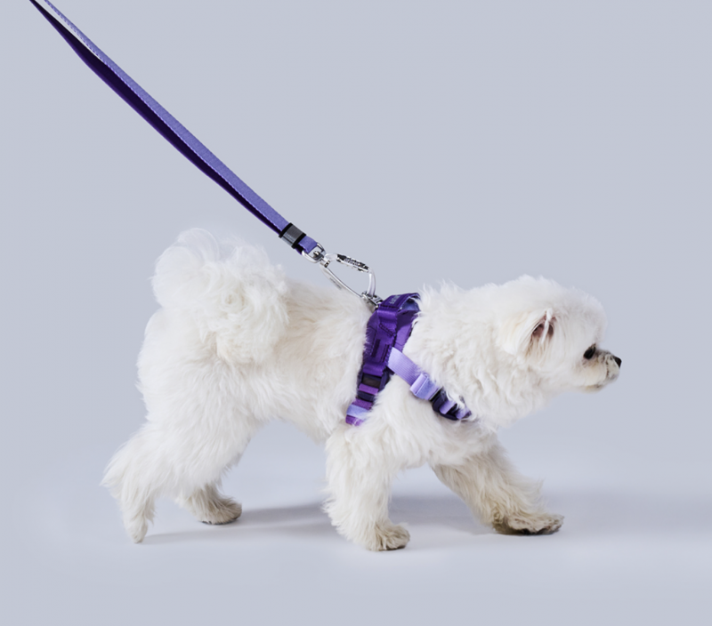 da22ef56168a4b5b2e870fdb2cd2f7cb_1730884928_8616.png da22ef56168a4b5b2e870fdb2cd2f7cb_1730884928_8616.png