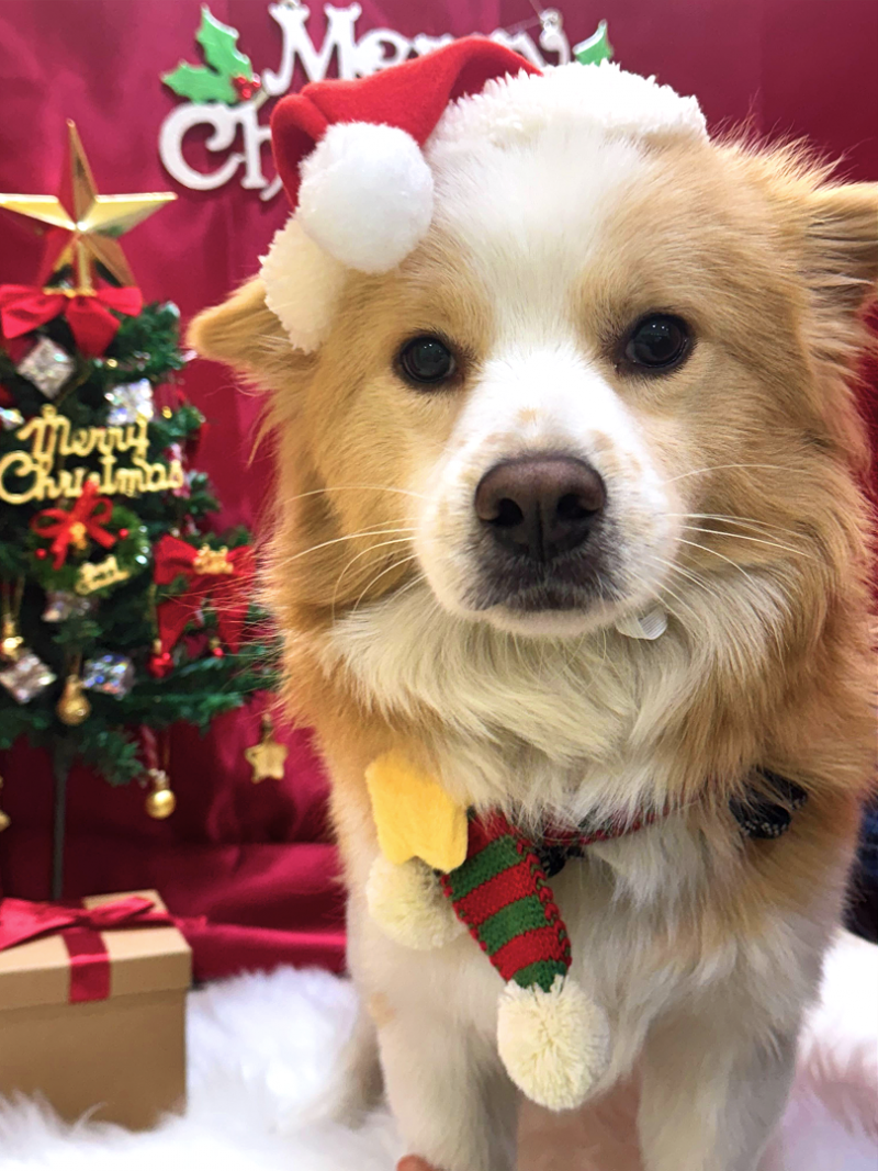 0344e161df8e2a0c95c090990de304d3_1734681360_5128.png 0344e161df8e2a0c95c090990de304d3_1734681360_5128.png