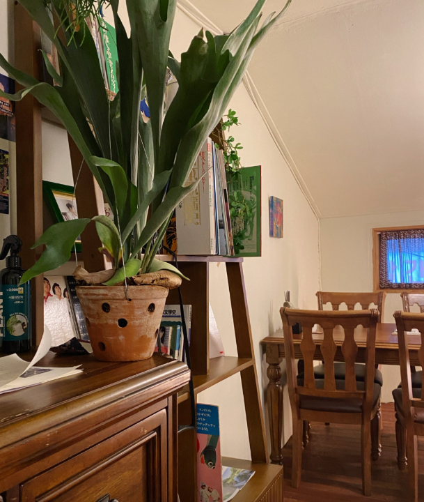 0d40c74928f57bf65b9df06383e6905d_1733494934_0033.png 0d40c74928f57bf65b9df06383e6905d_1733494934_0033.png