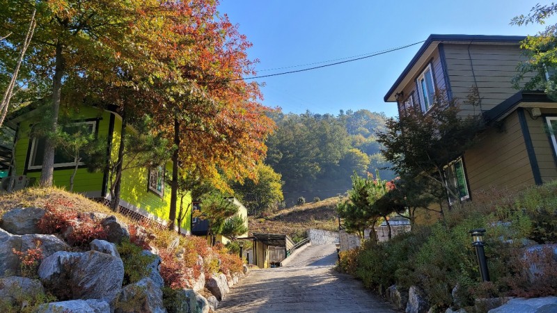 1cf16af7586e8398bf9d6100e1085cfa_1734314257_4453.jpg 1cf16af7586e8398bf9d6100e1085cfa_1734314257_4453.jpg