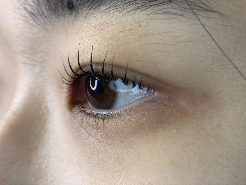 43951883215ebd7c27adf20e34b5aa28_1734015154_5656.jpeg 43951883215ebd7c27adf20e34b5aa28_1734015154_5656.jpeg