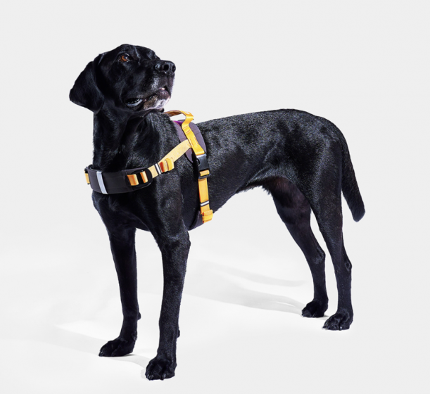 4dc16fada2a6c9fbdc75fb49ccef43a4_1734504387_4788.png 4dc16fada2a6c9fbdc75fb49ccef43a4_1734504387_4788.png