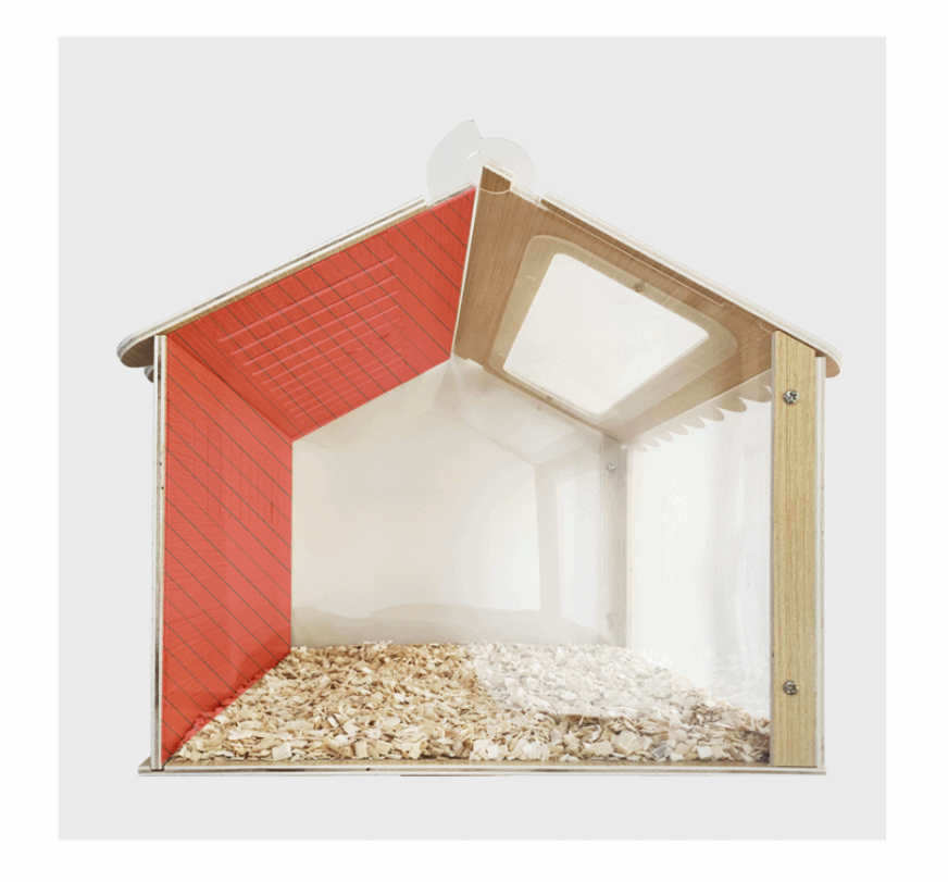 4f6bd4b7a53e455221a8d0ce38157002_1732980948_1851.gif 4f6bd4b7a53e455221a8d0ce38157002_1732980948_1851.gif