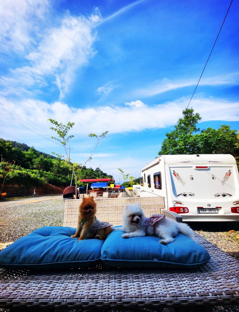 9126c68045f8cb6153de18b21890ce5f_1734311673_7373.jpg 9126c68045f8cb6153de18b21890ce5f_1734311673_7373.jpg