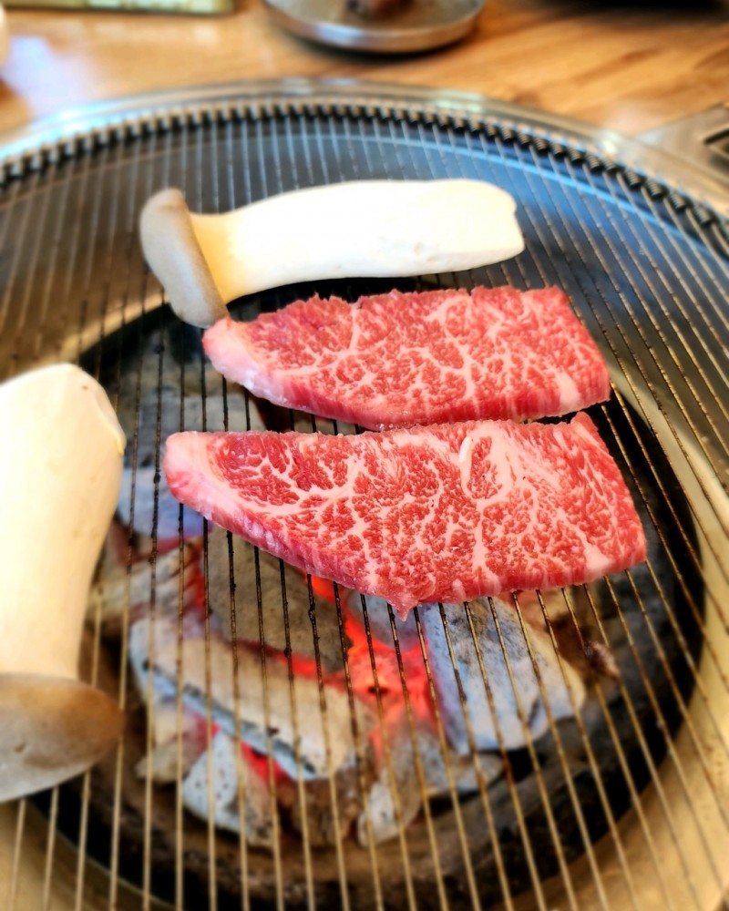 d2c6fe1d2f3283e2e62181059cdd2522_1735541332_6331.jpeg d2c6fe1d2f3283e2e62181059cdd2522_1735541332_6331.jpeg