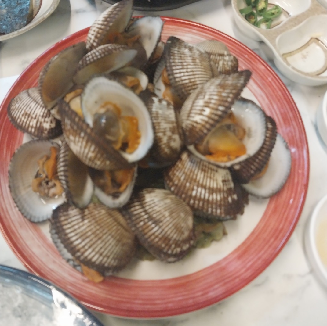 25b63341be70141d8c6dba34ef349a77_1736744601_7029.jpg 25b63341be70141d8c6dba34ef349a77_1736744601_7029.jpg