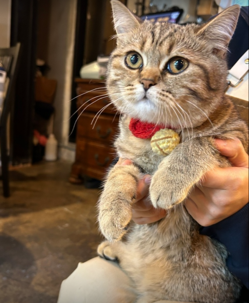 77e37f46f3f4f7126a5010c138dbd4c0_1737693462_6925.png 77e37f46f3f4f7126a5010c138dbd4c0_1737693462_6925.png