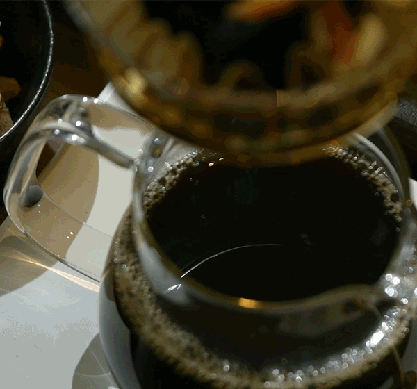 7a39996196866f61c9bcd6a4c4092019_1737123483_1293.gif 7a39996196866f61c9bcd6a4c4092019_1737123483_1293.gif