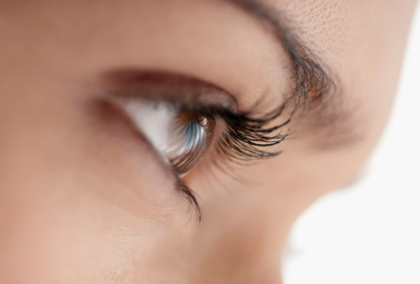 c902853cedc7a40584c3316be408a6c0_1737367304_7379.png c902853cedc7a40584c3316be408a6c0_1737367304_7379.png