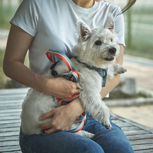 e5b773eb6fed4b982ac2500594879c22_1736136991_8109.png e5b773eb6fed4b982ac2500594879c22_1736136991_8109.png