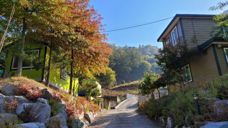 708784bd2f451ec7f2816b744ab6f46d_1739248519_7533.png 708784bd2f451ec7f2816b744ab6f46d_1739248519_7533.png