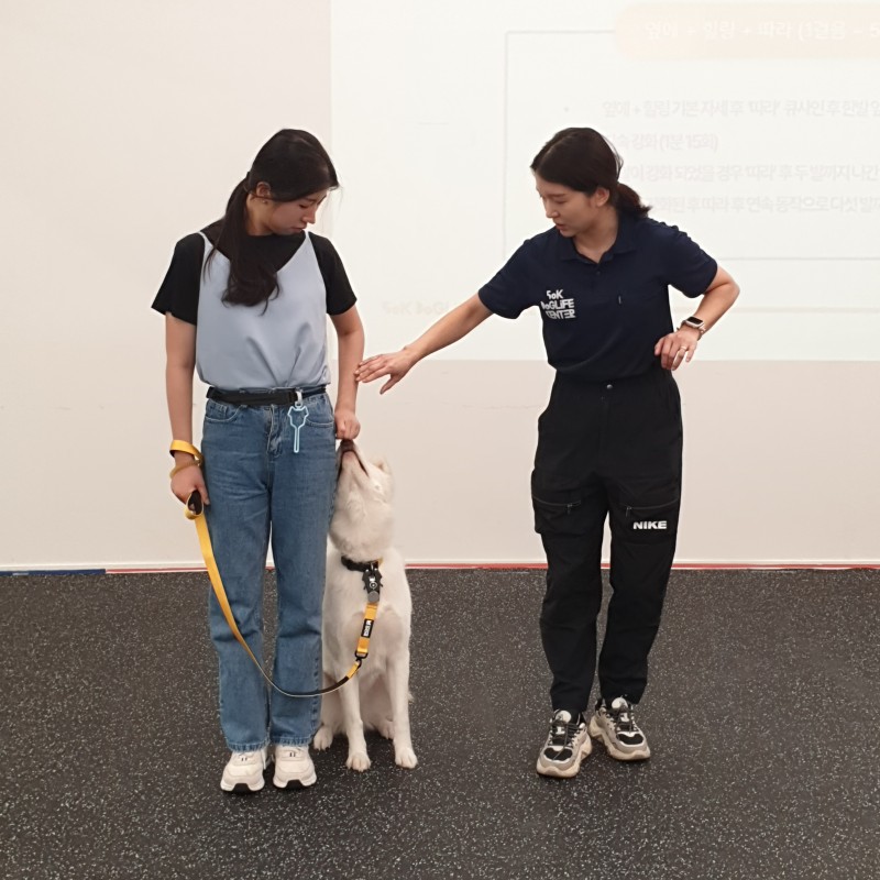 cdc7fd6b9990b2b560498a08d26504ce_1738804195_5342.jpg cdc7fd6b9990b2b560498a08d26504ce_1738804195_5342.jpg