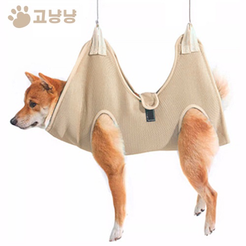 ed9b874b65a4f05e70ccd211c9bb73fc_1738655188_7379.jpg ed9b874b65a4f05e70ccd211c9bb73fc_1738655188_7379.jpg