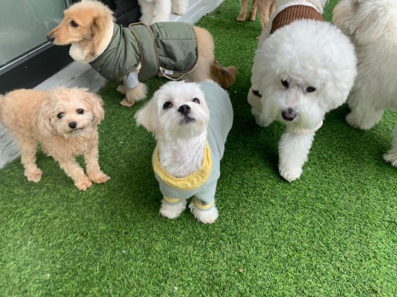 0acba4bf636fa5c91948f094a1459a1c_1742954089_4489.jpg 0acba4bf636fa5c91948f094a1459a1c_1742954089_4489.jpg