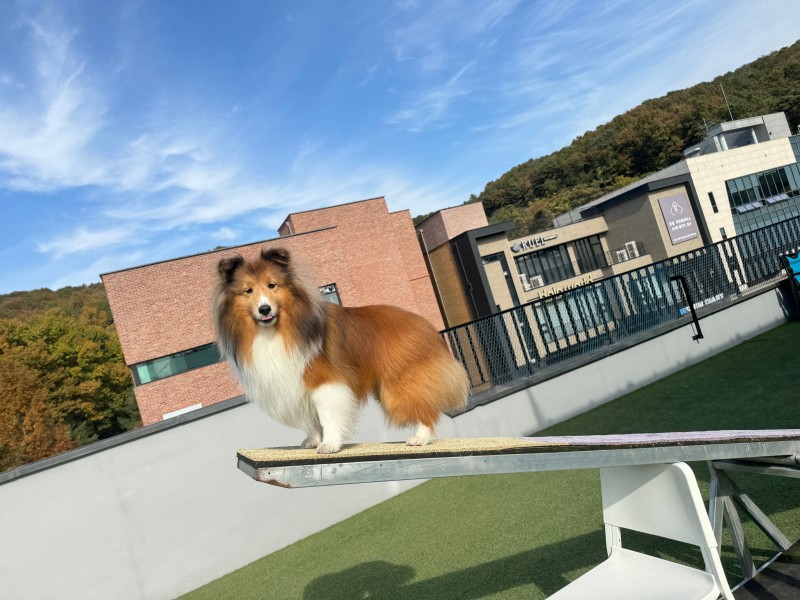 0acba4bf636fa5c91948f094a1459a1c_1742954097_3369.jpg 0acba4bf636fa5c91948f094a1459a1c_1742954097_3369.jpg