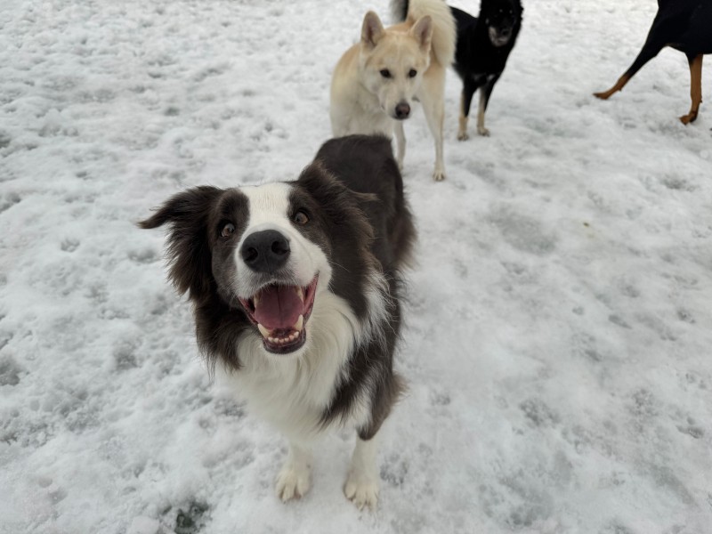 0acba4bf636fa5c91948f094a1459a1c_1742954106_1229.jpg 0acba4bf636fa5c91948f094a1459a1c_1742954106_1229.jpg