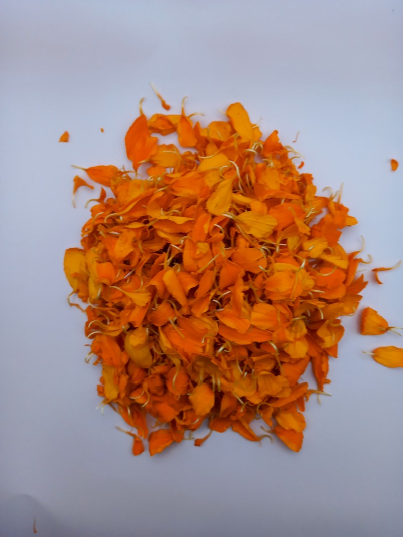 54f83f859102276116accc47dd0a1469_1742363110_318.jpg 54f83f859102276116accc47dd0a1469_1742363110_318.jpg