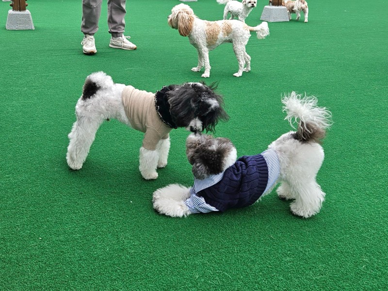 9f9004536fbdb4903303bb2b27b5bae8_1742269724_3445.jpg 9f9004536fbdb4903303bb2b27b5bae8_1742269724_3445.jpg