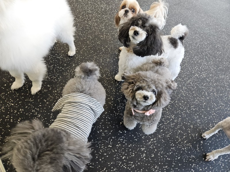 9f9004536fbdb4903303bb2b27b5bae8_1742269725_0345.jpg 9f9004536fbdb4903303bb2b27b5bae8_1742269725_0345.jpg