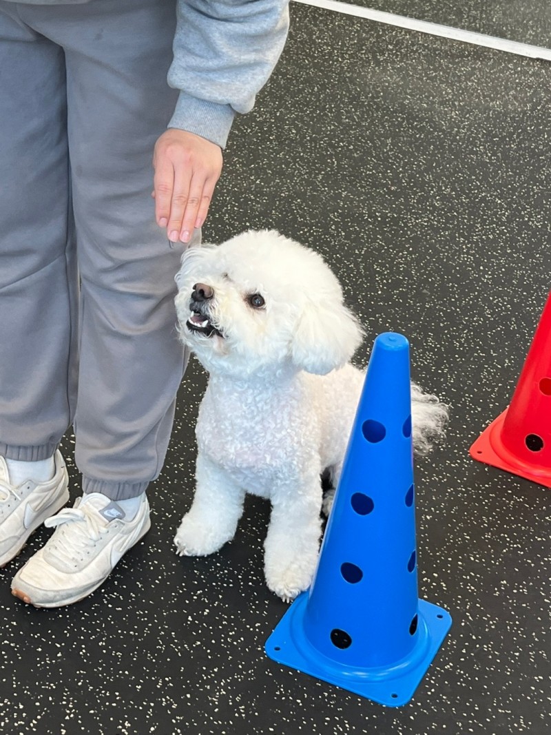 9f9004536fbdb4903303bb2b27b5bae8_1742269725_2734.jpg 9f9004536fbdb4903303bb2b27b5bae8_1742269725_2734.jpg