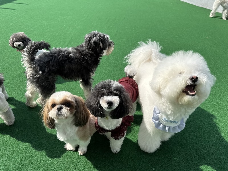 9f9004536fbdb4903303bb2b27b5bae8_1742269726_2618.jpg 9f9004536fbdb4903303bb2b27b5bae8_1742269726_2618.jpg