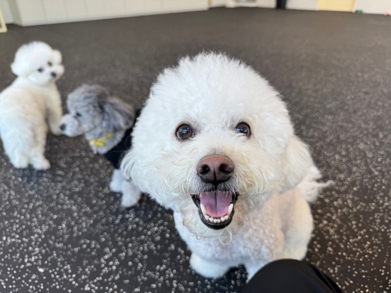 9f9004536fbdb4903303bb2b27b5bae8_1742269726_4495.jpg 9f9004536fbdb4903303bb2b27b5bae8_1742269726_4495.jpg