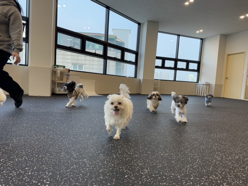 9f9004536fbdb4903303bb2b27b5bae8_1742269727_4818.jpg 9f9004536fbdb4903303bb2b27b5bae8_1742269727_4818.jpg